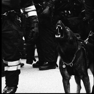 久久久久Av69精品
