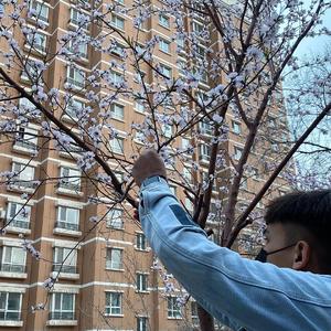 久久久久Av69精品
