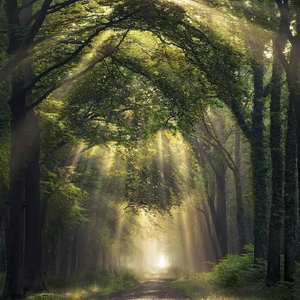 久久久久Av69精品
